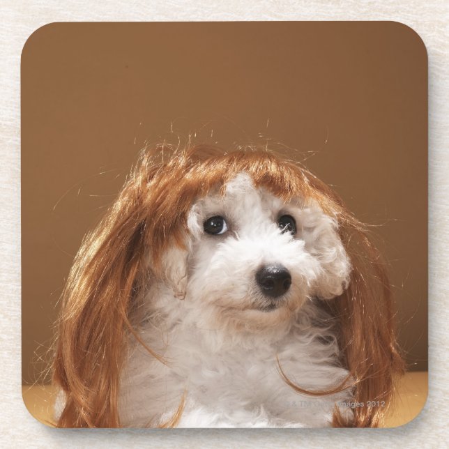 Puppy wearing ginger wig drink coaster (Front)