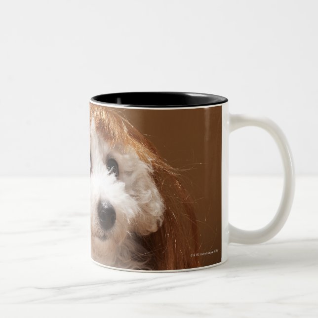 Puppy wearing ginger wig Two-Tone coffee mug (Right)