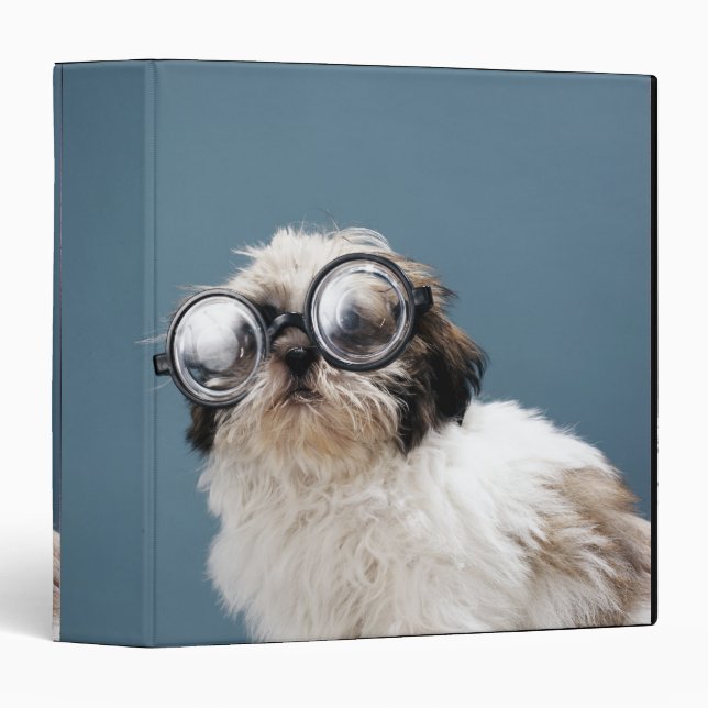 Puppy wearing thick glasses binder (Front/Spine)
