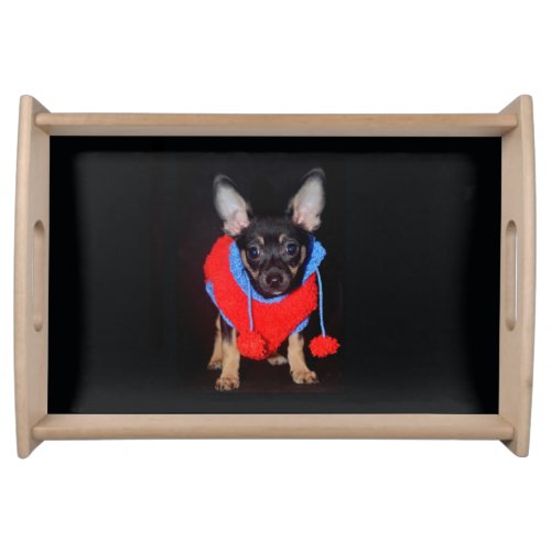 Puppy Wearing Wooly Sweater Serving Tray