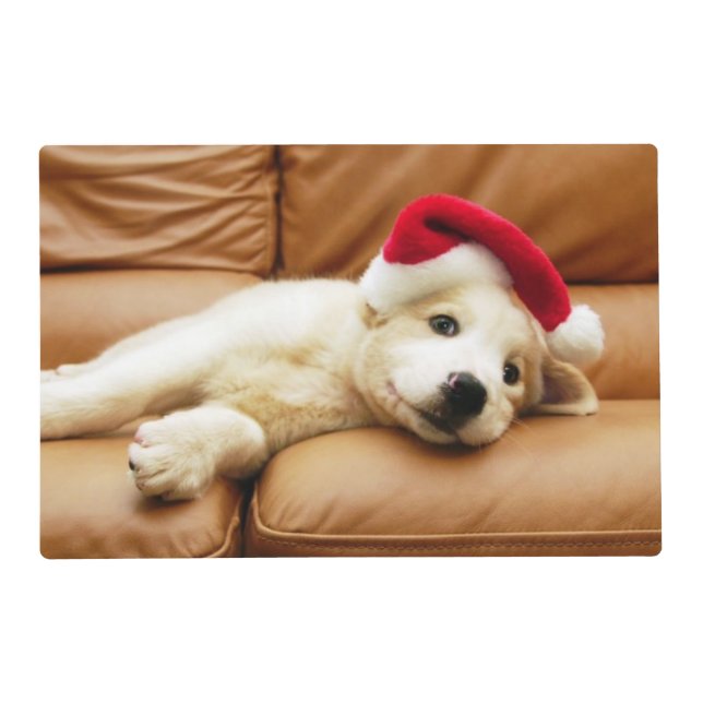 Puppy wears a christmas hat and lying on sofa placemat (Front)