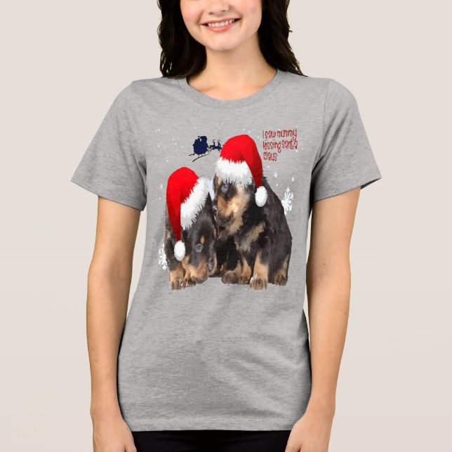Puppy White Christmas With Santa Claus Sleigh  Tri-Blend Shirt (Front)