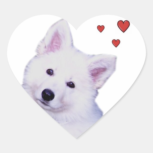 Puppy white shepherd heart sticker (Front)