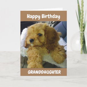 PUPPY WISHES FOR **GRANDDAUGHTER** BIRTHDAY CARD