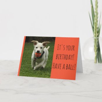 Puppy With Ball Card by Considernature at Zazzle