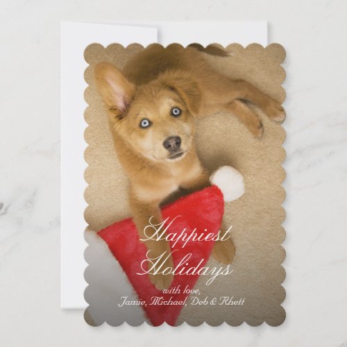 Puppy with Santa Claus hat Holiday Card