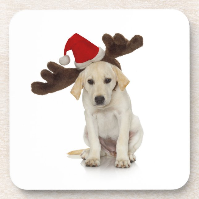 Puppy with Santa Hat and Reindeer Ears Beverage Coaster (Front)