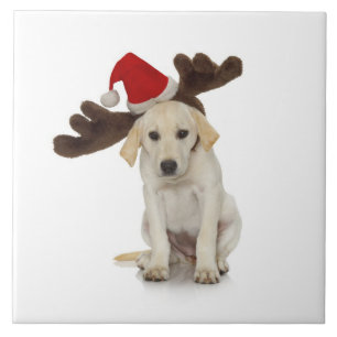 Puppy with Santa Hat and Reindeer Ears Ceramic Tile