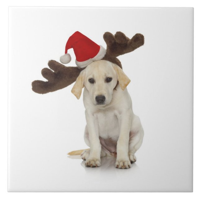 Puppy with Santa Hat and Reindeer Ears Ceramic Tile (Front)
