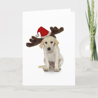 Puppy with Santa Hat and Reindeer Ears Holiday Card