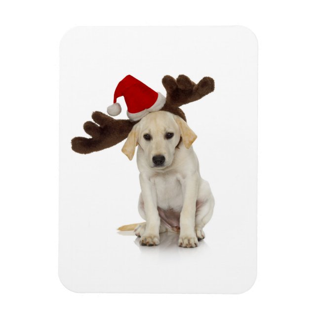 Puppy with Santa Hat and Reindeer Ears Magnet (Vertical)