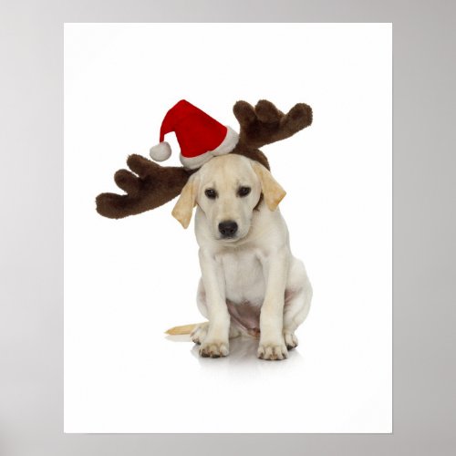Puppy with Santa Hat and Reindeer Ears Poster