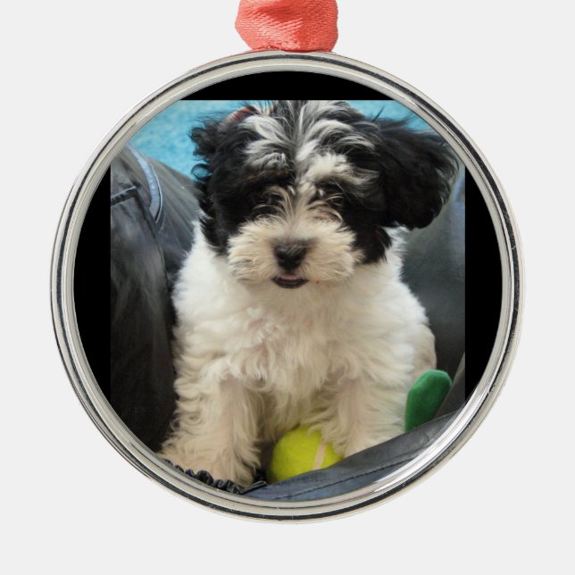 Puppy with Tennis Ball  Rescue Metal Ornament (Front)