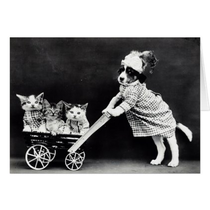 Puppy with Three Kittens in a Carriage Card