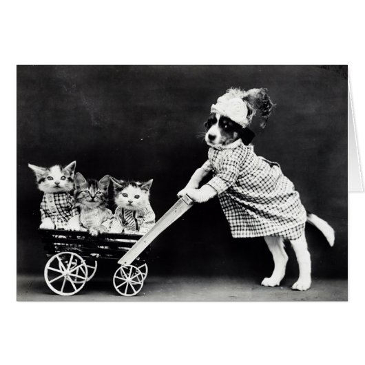 Puppy with Three Kittens in a Carriage Cards (Front Horizontal)