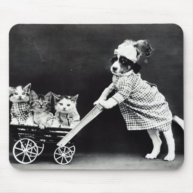 Puppy with Three Kittens in a Carriage Mouse Pad (Front)