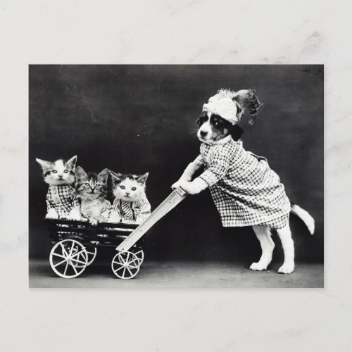 Puppy with Three Kittens in a Carriage Postcard