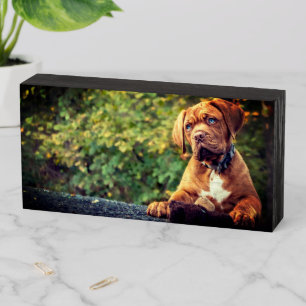 Puppy Wooden Box Sign