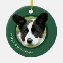 Puppy's First Christmas (Cardigan Welsh Corgi)
