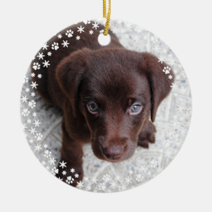 Puppy's First Christmas Holiday Ornament
