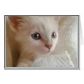 PUPs Card Kitties 11 (Front Horizontal)