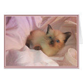 PUPs Card Kitties 12 (Front Horizontal)