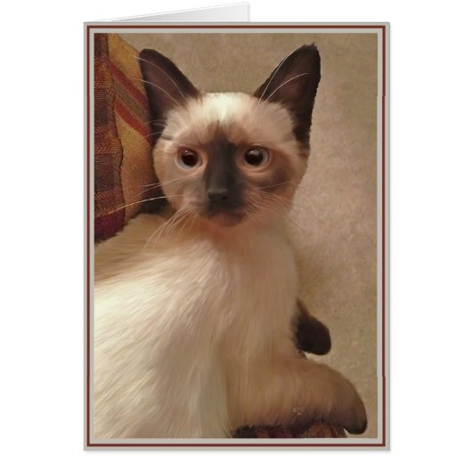 PUPs Card Kitties 15 (Front)