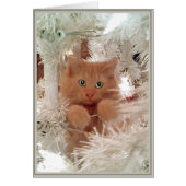 PUPs Card Kitties 16 (Front)