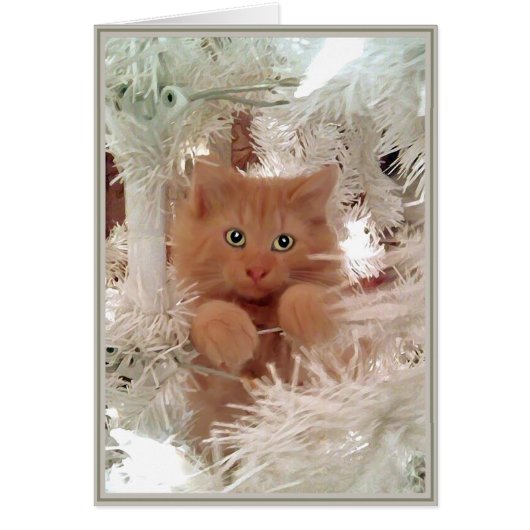 PUPs Card Kitties 16 (Front)