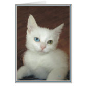 PUPs Card Kitties 17 (Front)