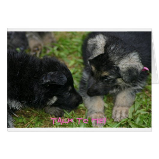 Pups Cards (Front Horizontal)