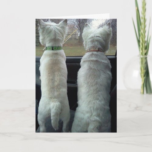 PUPS IN WINDOW SAY MISS YOU SO VERY MUCH CARD