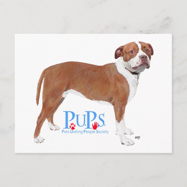 PUPs Rescued Pit Bull Postcard (Front)