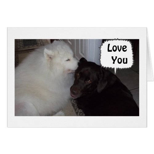 PUPS TALK ABOUT LOVE YOU TODAY TOMORROW FOREVER