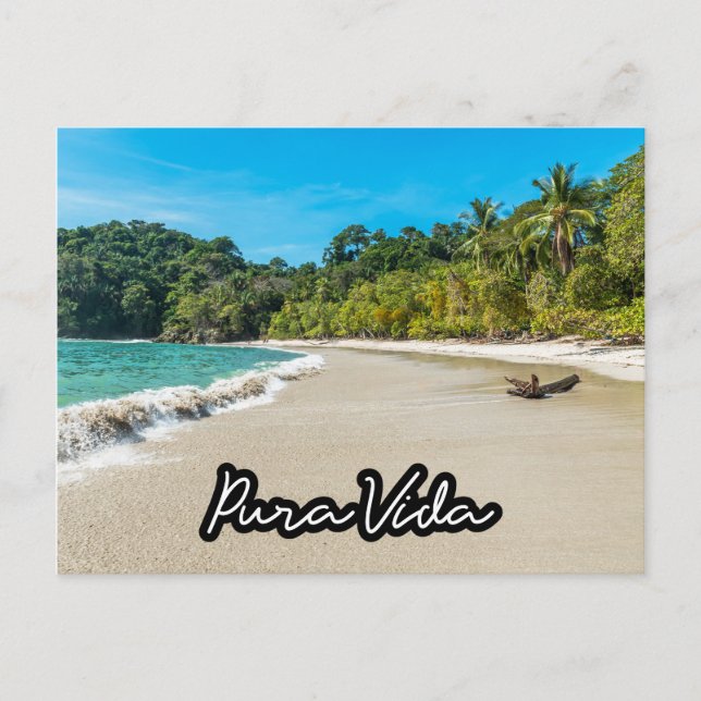 Pura Vida Costa Rica Beach Souvenir Postcard (Front)