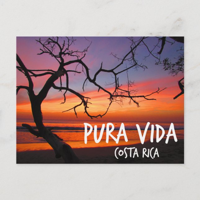Pura Vida Costa Rica Beach Sunset Postcard (Front)