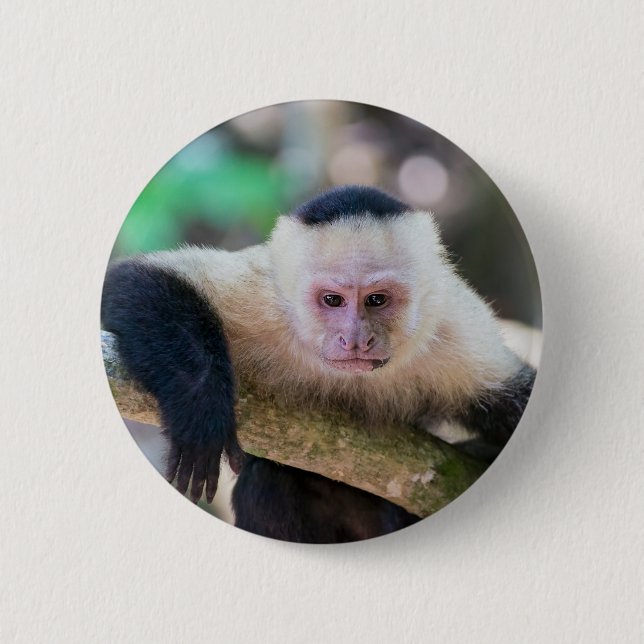 Pura vida for White-faced capuchin monkey Button (Front)
