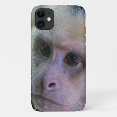 Pura vida for White_faced capuchin monkey iPhone 11 Case