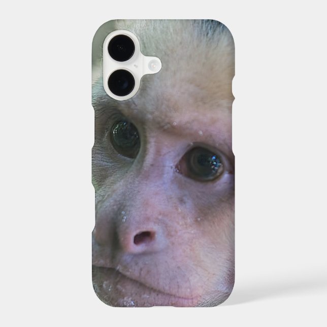 Pura vida for White-faced capuchin monkey Case-Mate iPhone Case (Back)