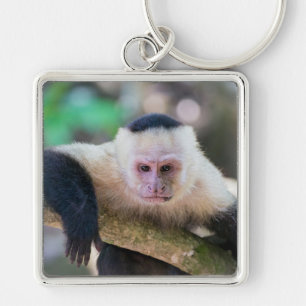 Pura vida for White-faced capuchin monkey Keychain