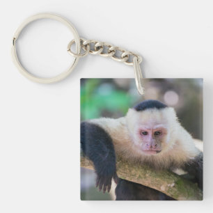 Pura vida for White-faced capuchin monkey Keychain