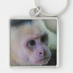 Pura vida for White-faced capuchin monkey Keychain
