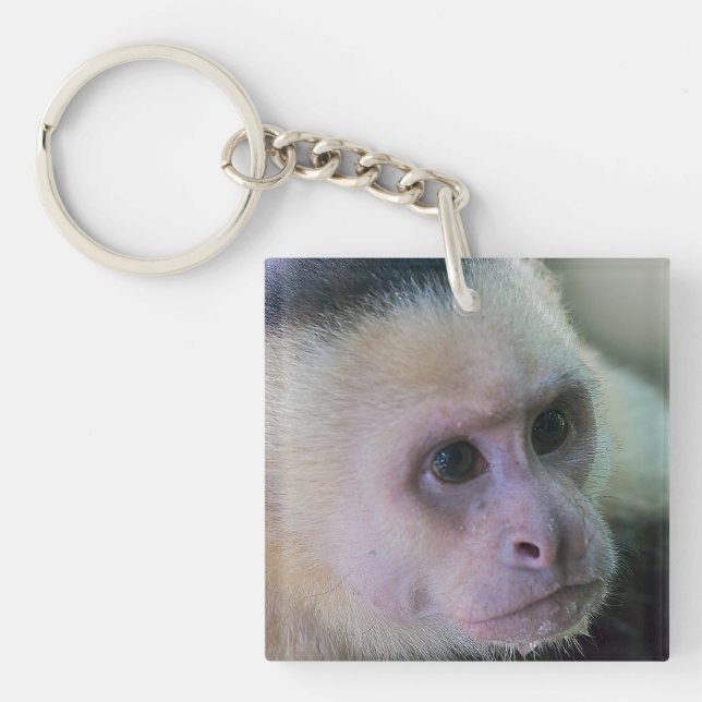 Pura vida for White-faced capuchin monkey Keychain (Front)