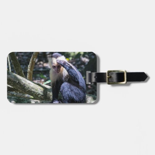 Pura vida for White_faced capuchin monkey Luggage Tag