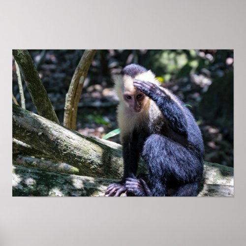 Pura vida for White_faced capuchin monkey Poster