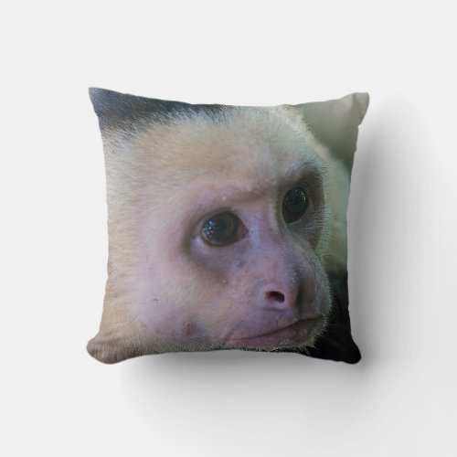 Pura vida for White_faced capuchin monkey Throw Pillow