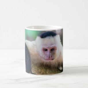 Pura vida for White headed capuchin monkey Coffee Mug
