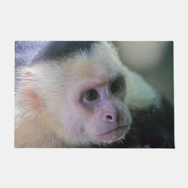 Pura vida for White headed capuchin monkey Doormat (Front)
