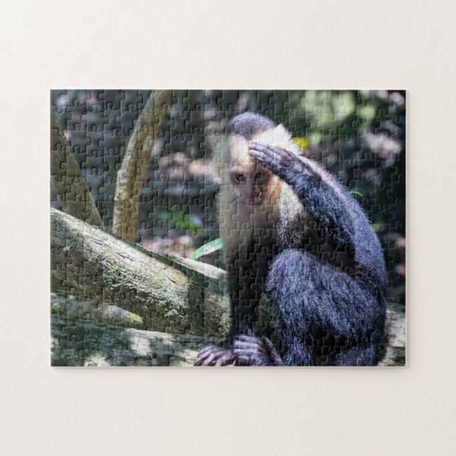 Pura vida for White headed capuchin monkey Jigsaw Puzzle (Horizontal)