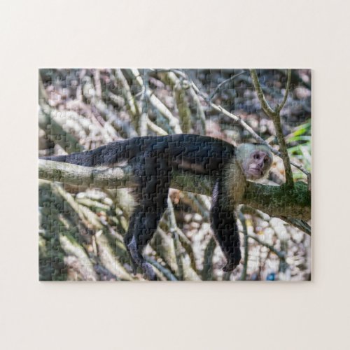 Pura vida for White headed capuchin monkey Jigsaw Puzzle